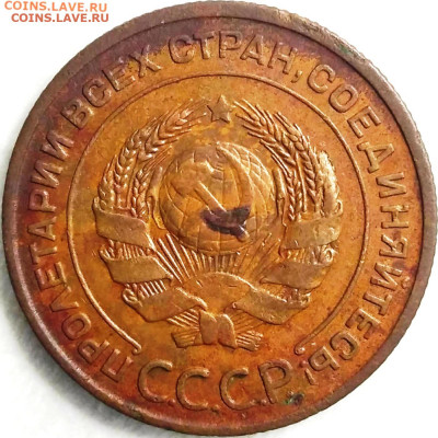 2 копейки 1924 г. - две длинных ости - IMG_20200615_224632