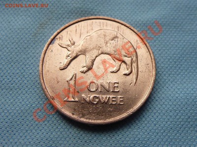 С РУБЛЯ ЗАМБИЯ 1нгвее ЗВЕРУШКА до 12.09.11 в 22-00 - MEMO0043.JPG
