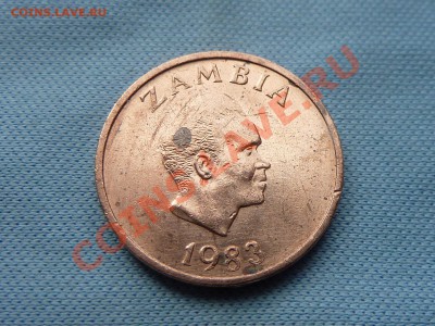 С РУБЛЯ ЗАМБИЯ 1нгвее ЗВЕРУШКА до 12.09.11 в 22-00 - MEMO0042.JPG