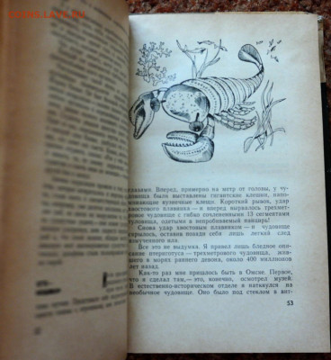 книга "Занимательно о геологии" - SAM_7457.JPG