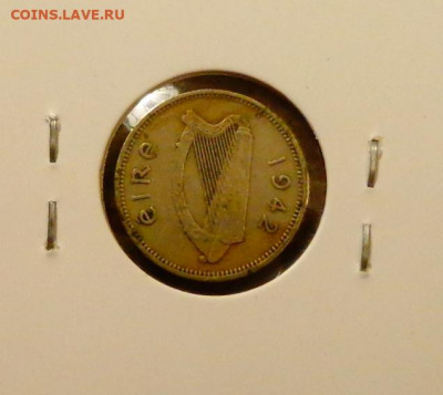 ИРЛАНДИЯ - 3п ЗАЙЧИК до 23.06, 22.00 - Ирландия зайчик-1