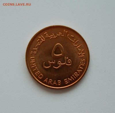 ОАЭ 5 филсов 1973 г. (Фауна). до 22.06.20 - DSCN9937.JPG