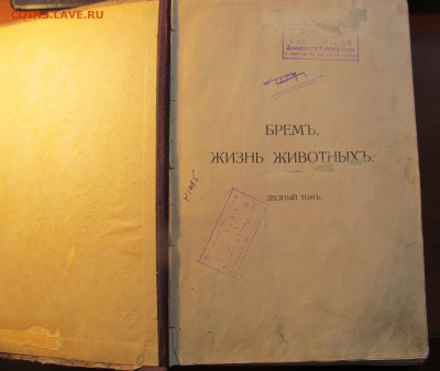 Жизнь Животных. том 10. Брем. СПБ "Дъятель" Цвет. на оценку. - IMG_3995.JPG