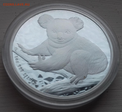 1 доллар Коала Австралия 2009 до 22.06 22-00МСК - Koala2