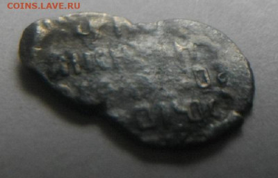 чешуйки на определение и оценку - IMGP4372.JPG