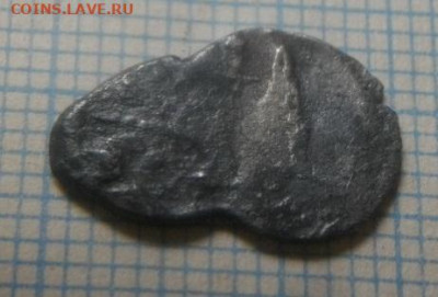 чешуйки на определение и оценку - IMGP4382.JPG