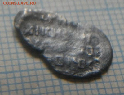 чешуйки на определение и оценку - IMGP4378.JPG