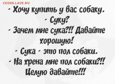 юмор - i (6)