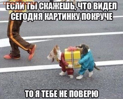 юмор - 14454466