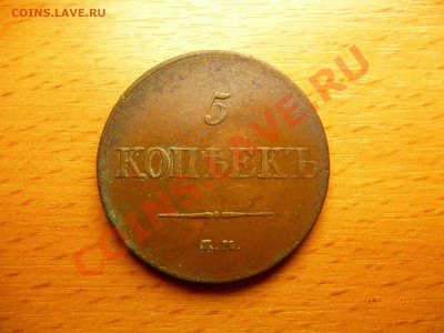 5 копеек 1831 ем желтая до 13.09.11 - P1010826.JPG