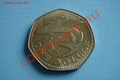 БОТСВАНА, ГАНА, БЕЛИЗ, СИНГАПУР и др. (пополняемая) - DSC09630.JPG