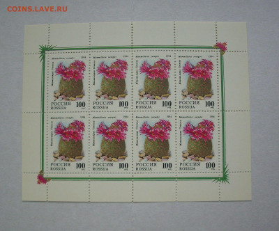 РОССИЯ. 1994 г..Комнатные растения. Кактусы (МЛ).. - IMG_8875.JPG