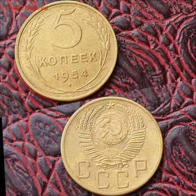 5 копеек 1954 год. Хорошая. До 26.06 - IMG_20200622_181033
