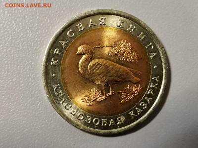 Красная книга: 10р 1992г. Краснозобая казарка(меш), до 30.06 - СЧ Казарка мешк-1