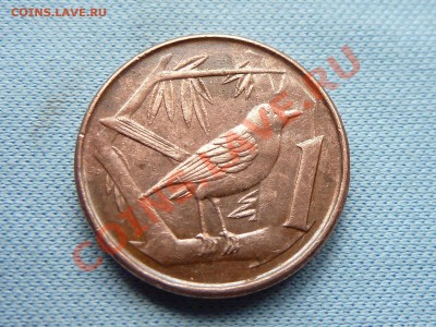 КАЙМАНОВЫ ОСТРОВА 1с ПТИЧКА 1999г. до 13.09.11 в 22-00 - MEMO0053.JPG