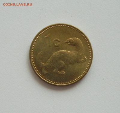 Мальта 1 цент 1995 г.(Фауна). до 02.07.20 - ролг (78).JPG