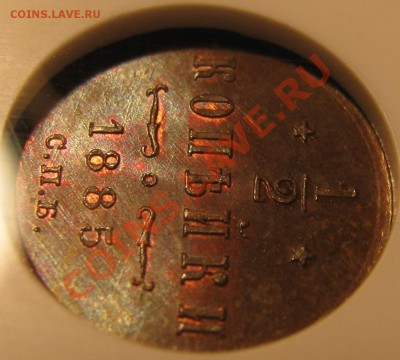 MS 66 - IMG_0522.JPG