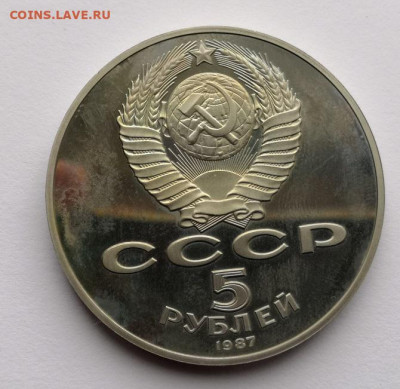 70 лет Октября, Шайба - IMG_20200628_111824
