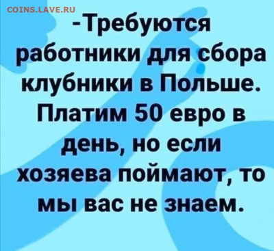 юмор - i