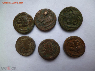 фикс Тетрахалк Пантикапей Спарток 6 монет ЛОТ Лев Осетр ПАN - 190662612