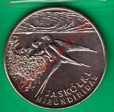 20000 злотых 1993 г ЛАСТОЧКА до 13.09 22-00-00 МСК - 4