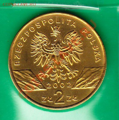 2 злотых 2002 г Черепаха до 13.09 22-00-00 МСК - 51