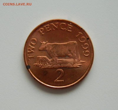 Гернси 2 пенса 1999 г. (Фауна) до 06.07.20 - DSCN9943.JPG