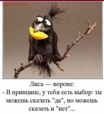Пойдёте ли вы 1 июля на голосование? - zx1