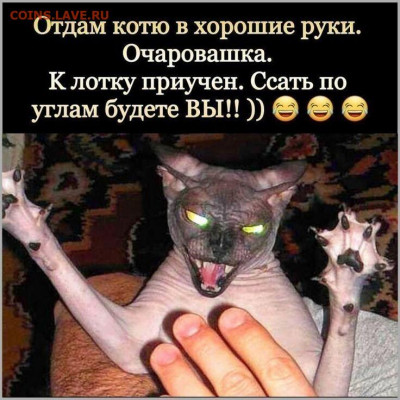 юмор - i