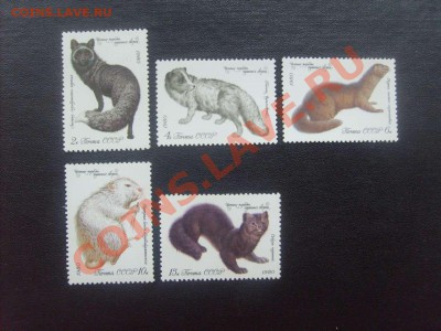 20 руб.51. - S5000009_thumb