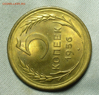 5 копеек 1956 года Штемпельный блеск До 04.07.20 в 22.00 МСК - P1550750.JPG