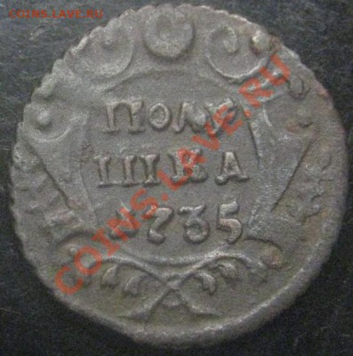 полушка 1735? - IMG_2098
