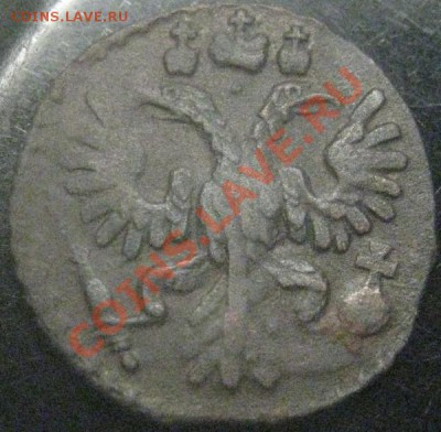 полушка 1735? - IMG_2099