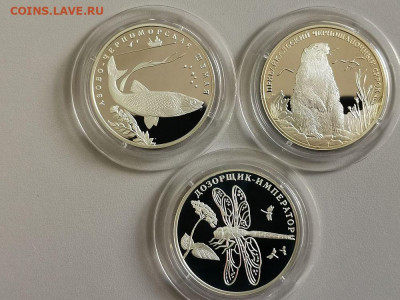 2р 2008г Кр.книга(Сурок, Шемая, Дозорщик), до 05.07 - Y КК 2008-1