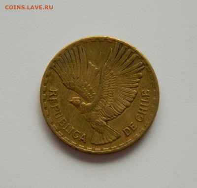 Чили 10 сентесимо 1965 г. (Кондор). до 08.07.20 - DSCN0021.JPG