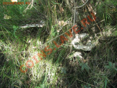 В Кузбассе начинается сезон. - IMG_1630