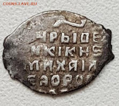Помогите определить чешуйки - 3 (2)