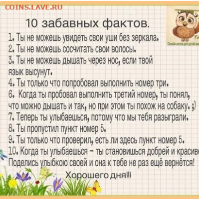 юмор - Facts.PNG