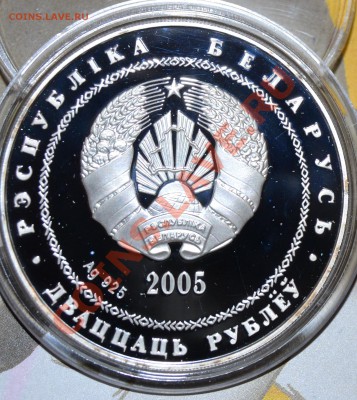 САМЫЕ ДОСТОЙНЫЕ ФОРУМЧАНЕ 2009года. - DSC_3263.JPG