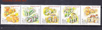 РФ 2003 грибы сцепка ** до 09 07 - 199