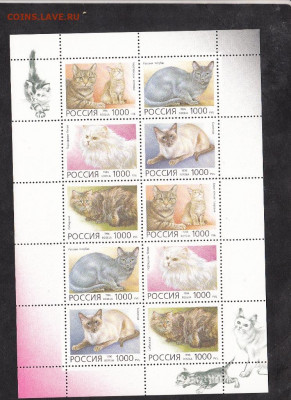 РФ 1996 кошки малый лист до 09 07 - 79