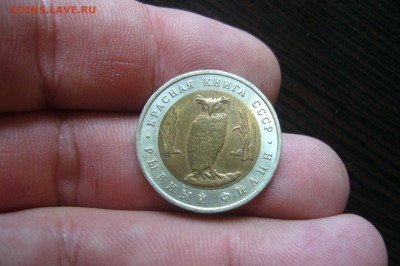5 рублей 1991 КК филин - 08-07-20 - 23-10 мск - P2260627.JPG