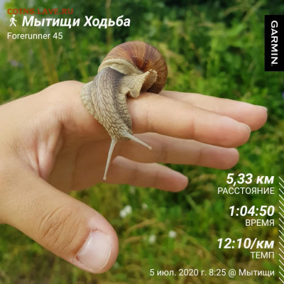 делает - прямо сейчас !!! - GarminConnect_20200705-095425