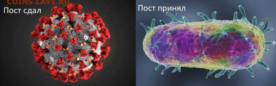 N-CoV(CoronaVirus) КоронаВирус.Последние новости - пост