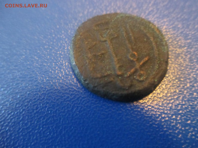 Фельс. Редкий. - IMG_9860.JPG