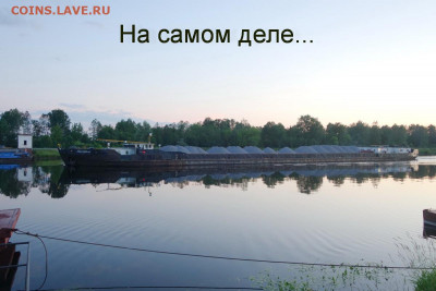 юмор - DSC04835 Действи- тельность.JPG