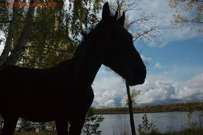 ФОТО - просто фото. Те что получились удачными. - r4