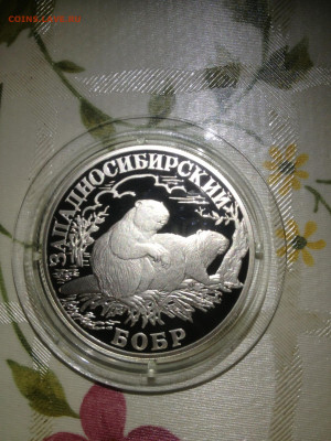 1 руб. Красная книга Западно сибирский бобр, 2001 до 12.07 - YSKtfoXLSXM