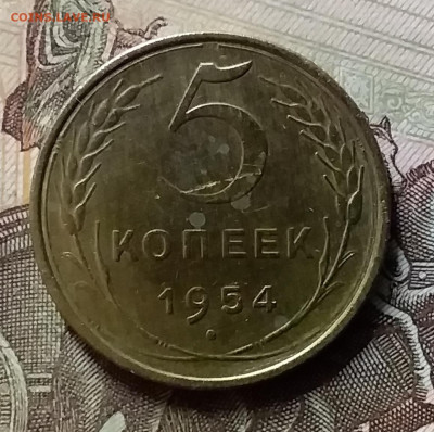 5 копеек 1954. До 8.07.20 в 22.00 - 20200706_212904
