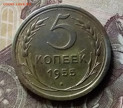 5 копеек 1955. До 8.07.20 в 22.00 - 20200706_213204